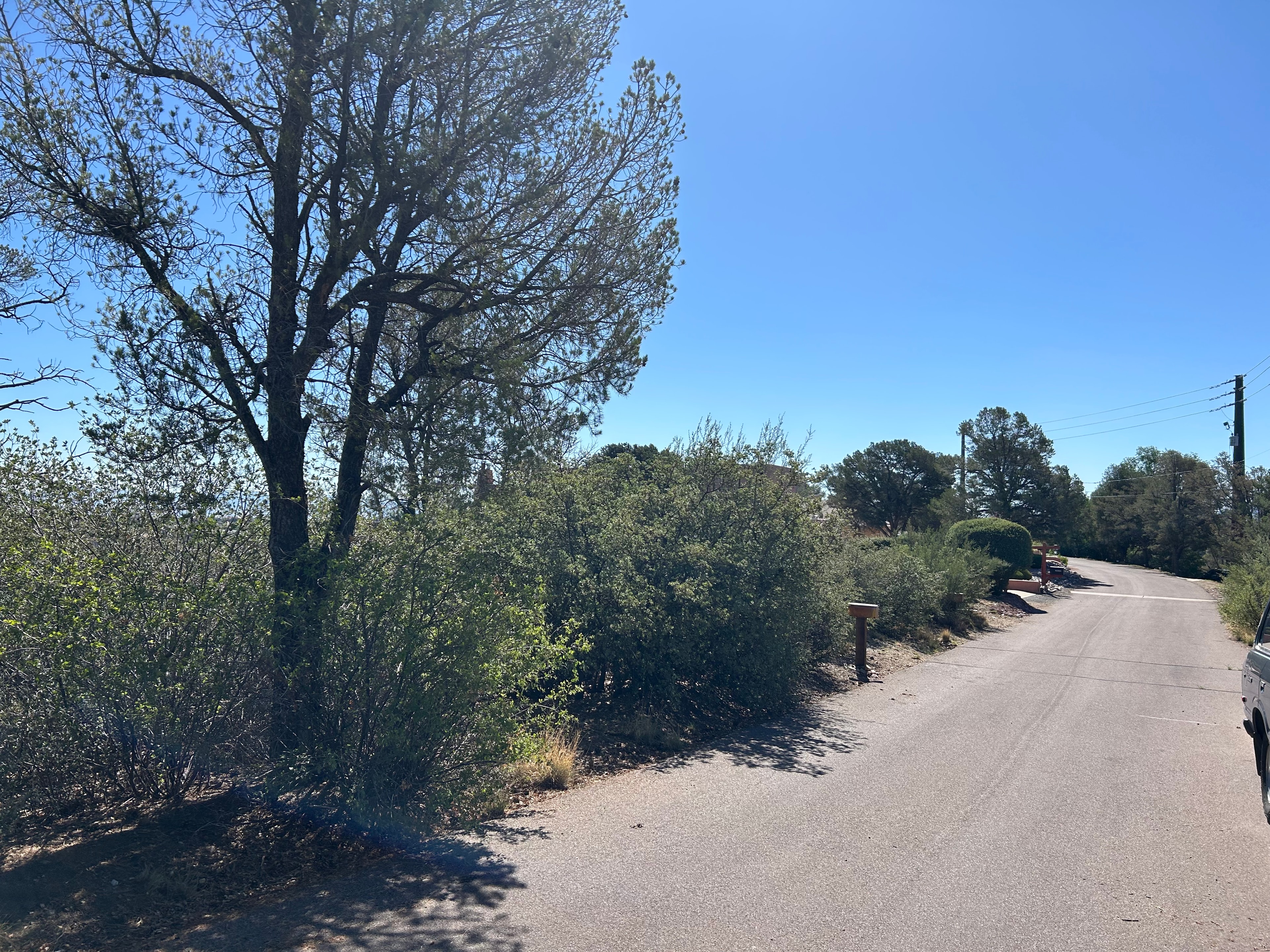 Panorama Rd — before mitigation