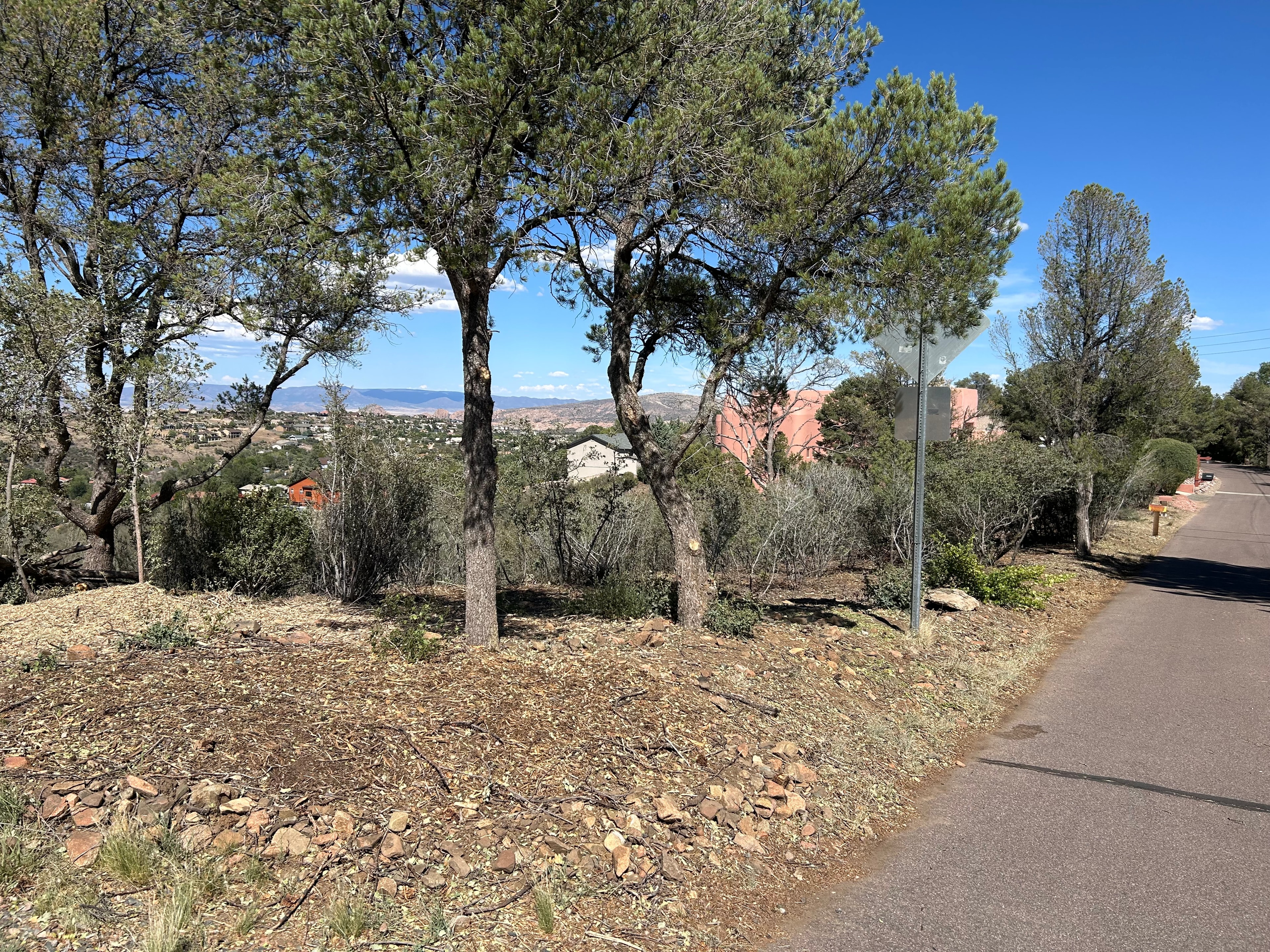Panorama Rd — after mitigation