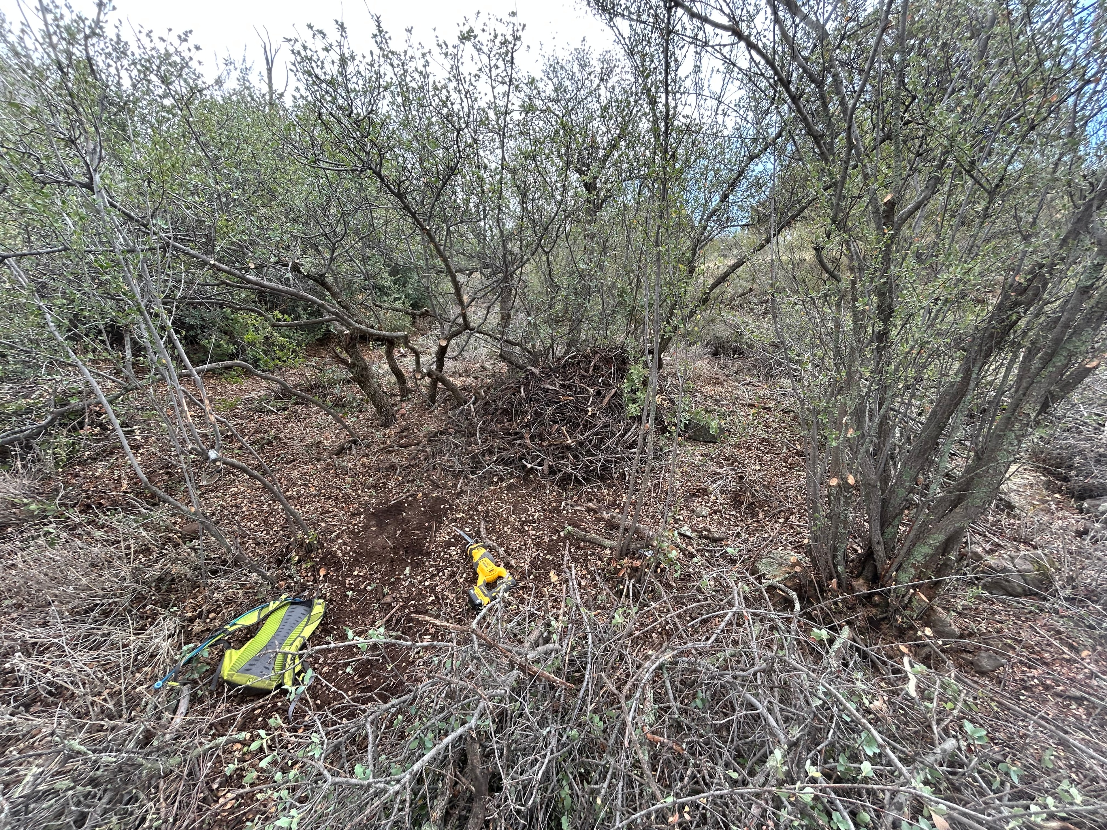 Nolte Rd — mitigation in progress